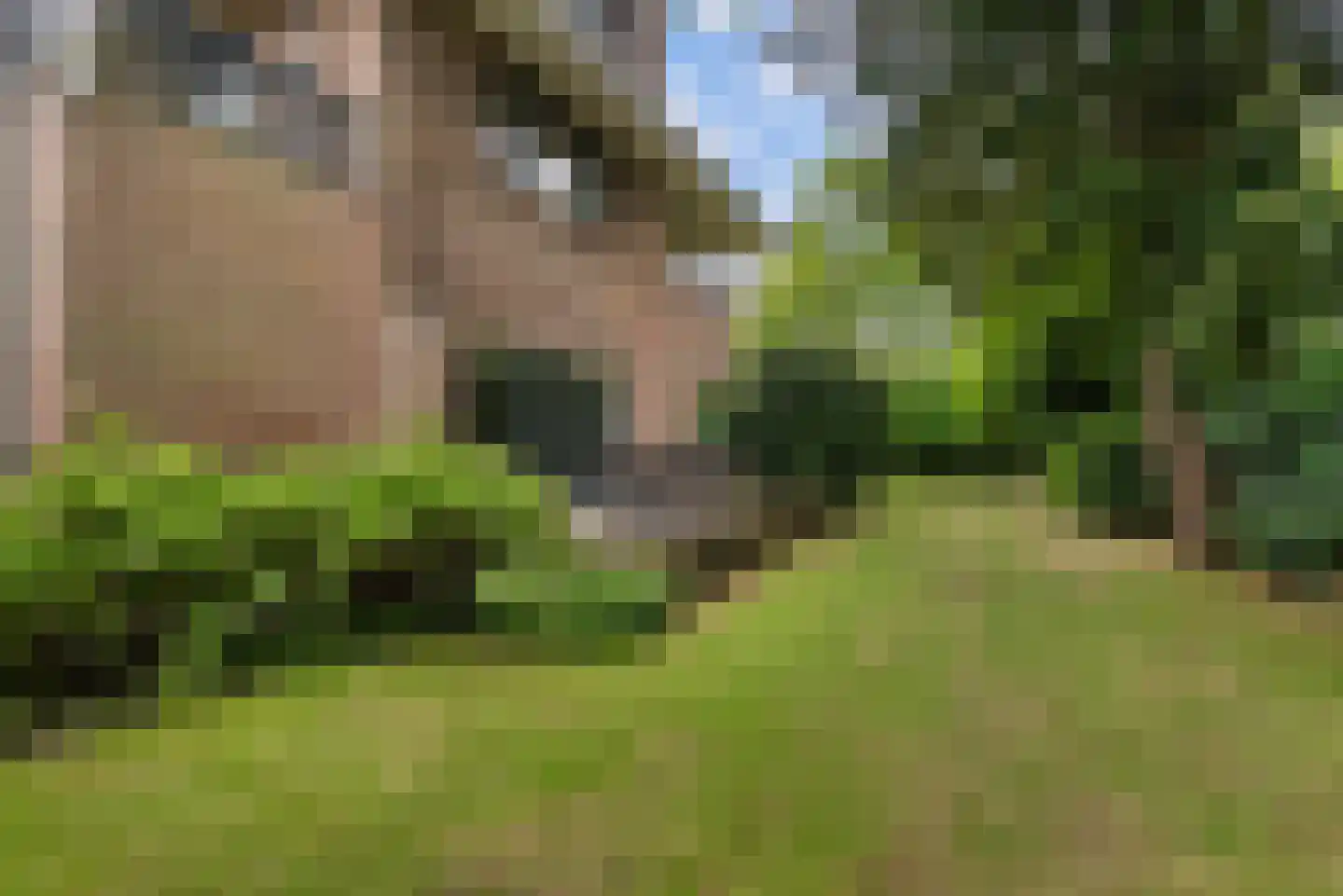Vijverweg 4 Wassenaar thumbnail 21