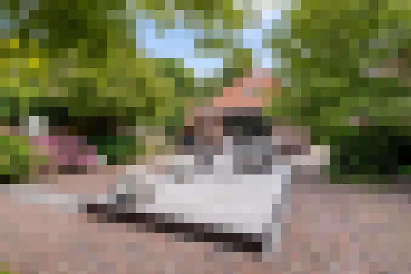 Vijverweg 4 Wassenaar thumbnail 26