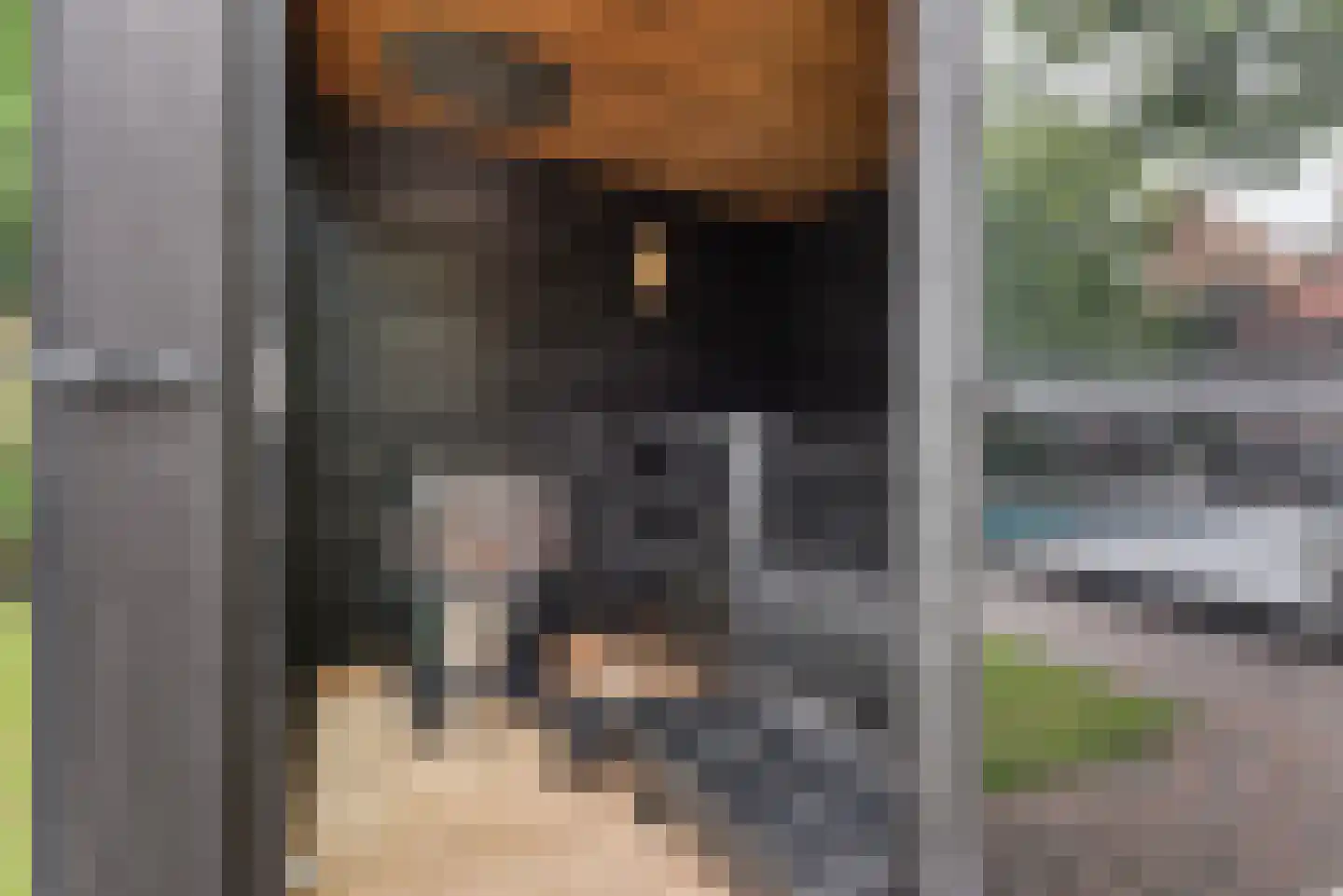 Vijverweg 4 Wassenaar thumbnail 31