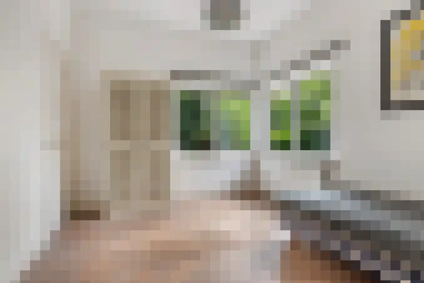 Vijverweg 4 Wassenaar thumbnail 33