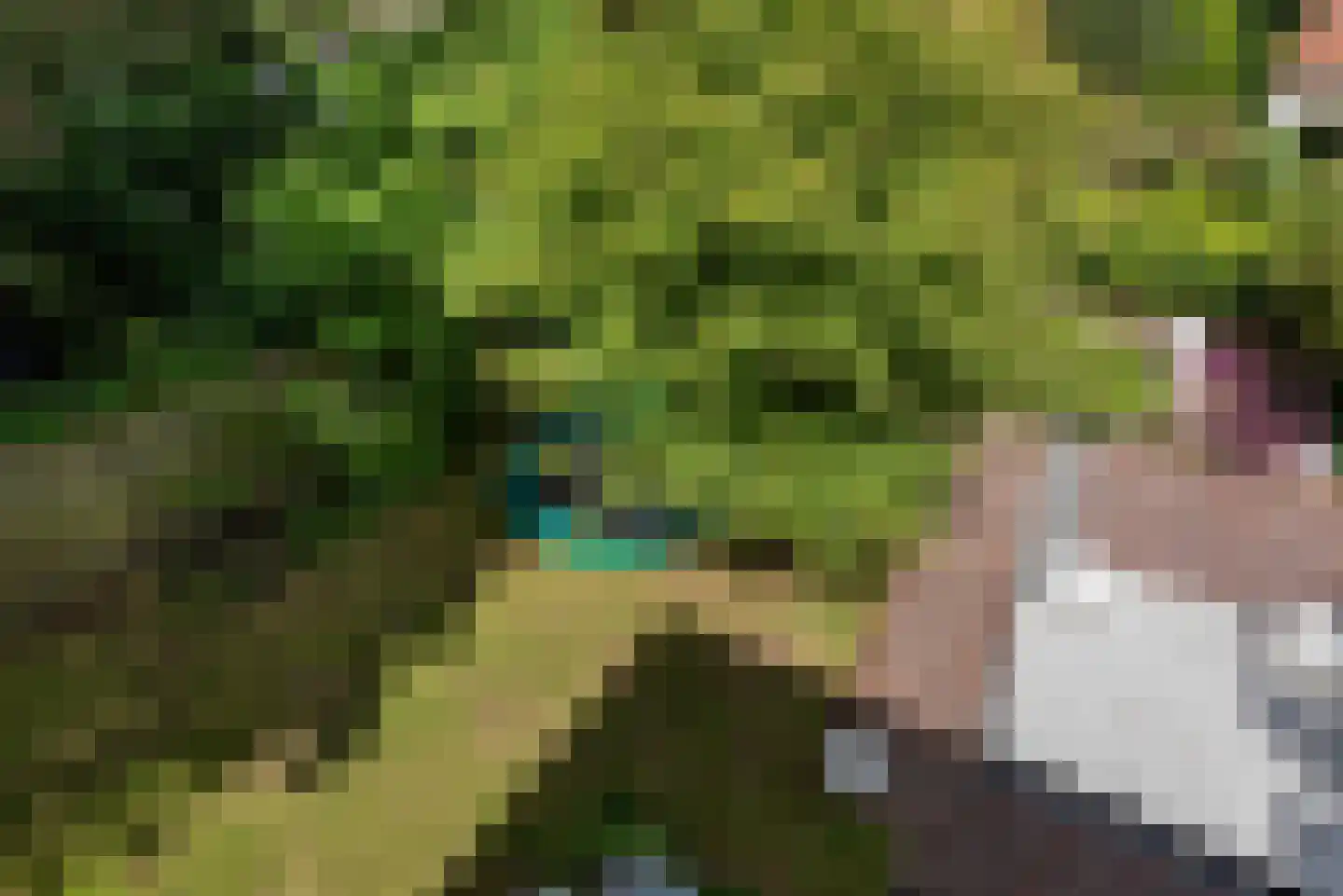Vijverweg 4 Wassenaar thumbnail 43