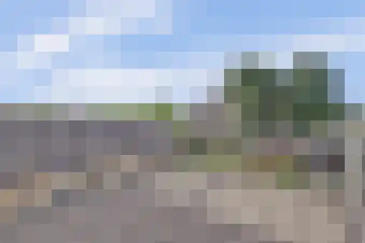 Vijverweg 42 Ermelo thumbnail 30