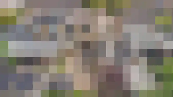 Vijverweg 42 Ermelo thumbnail 38