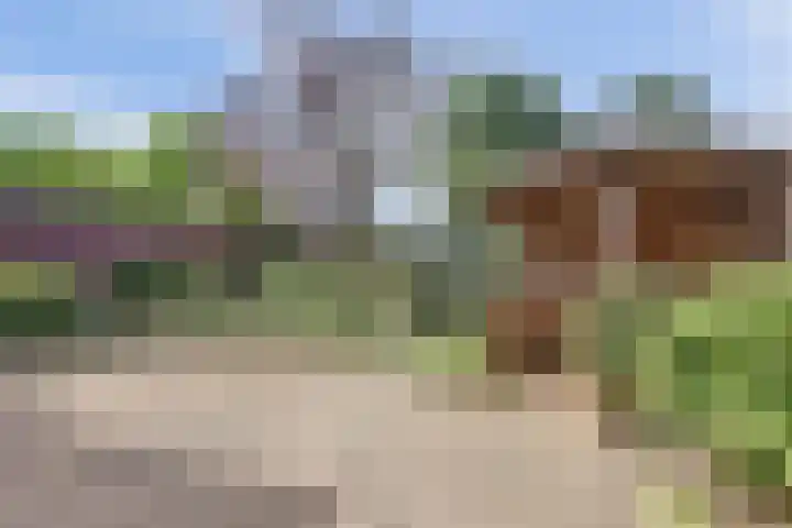 Vijverweg 42 Ermelo thumbnail 4