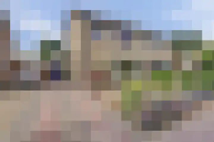 Vijverweg 42 Ermelo thumbnail 52