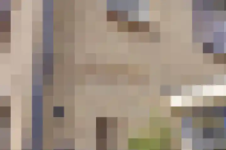 Vijverweg 42 Ermelo thumbnail 6