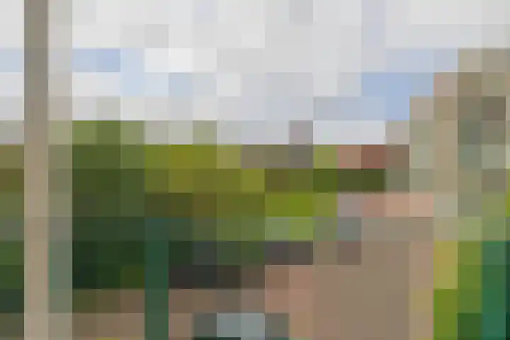 Vijverweg 43 a2 Bloemendaal thumbnail 11