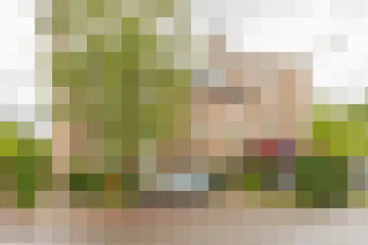 Vijverweg 43 a2 Bloemendaal thumbnail 23