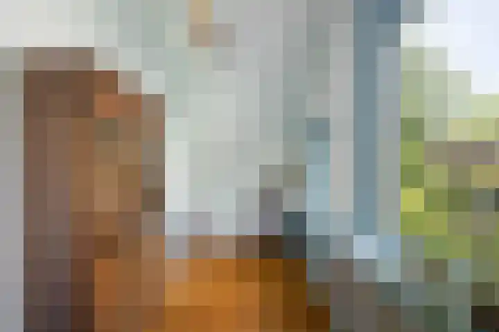 Vijverweg 46 Rotterdam thumbnail 19