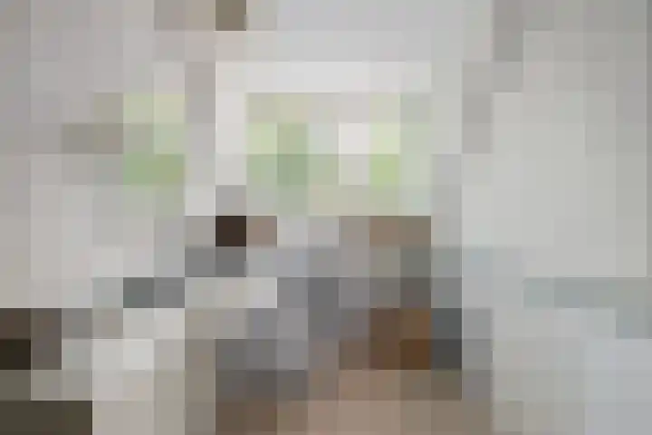 Vijverweg 46 Rotterdam thumbnail 20