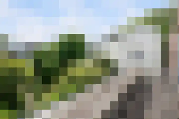 Vijverweg 46 Rotterdam thumbnail 24