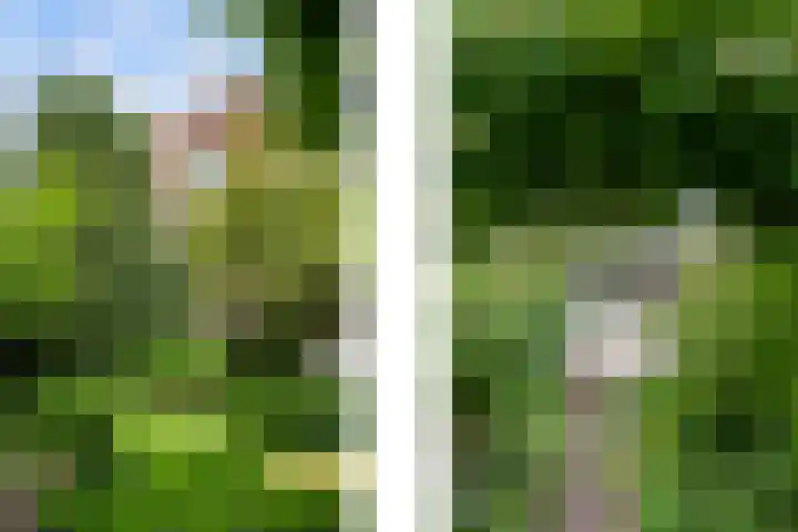 Vijverweg 46 Rotterdam thumbnail 25