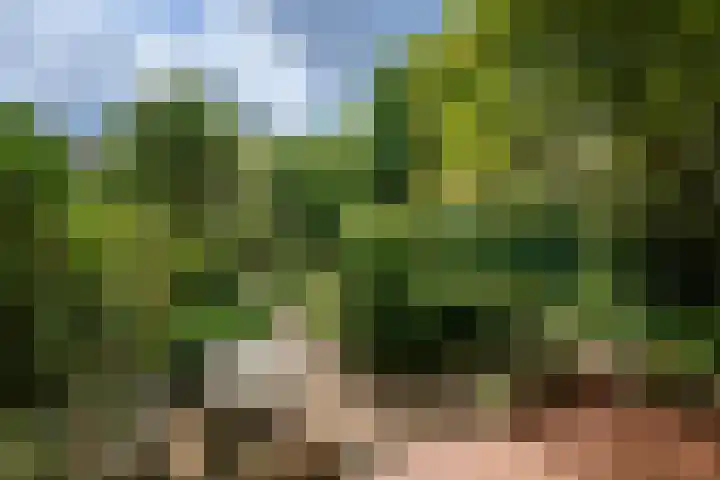 Vijverweg 46 Rotterdam thumbnail 26