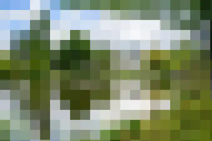 Vijverweg 46 Rotterdam thumbnail 28