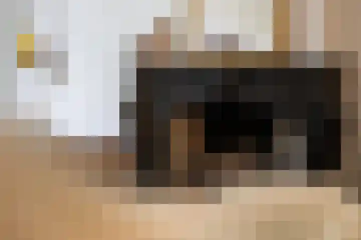 Vijverweg 46 Rotterdam thumbnail 5