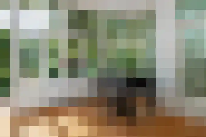 Vijverweg 46 Rotterdam thumbnail 8