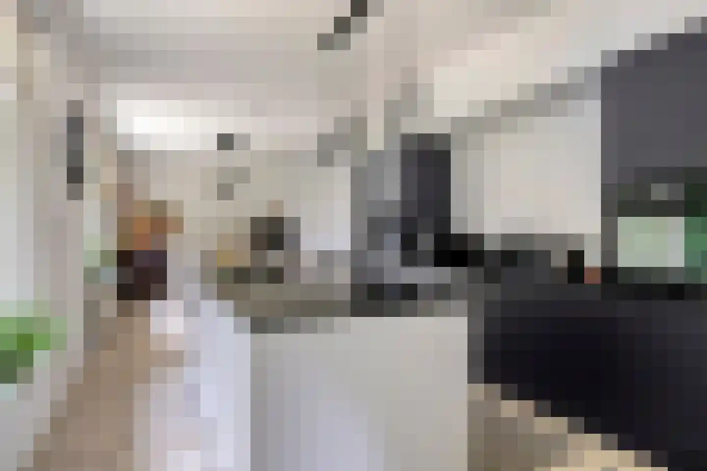 Vijverweg 5 Ossendrecht thumbnail 13