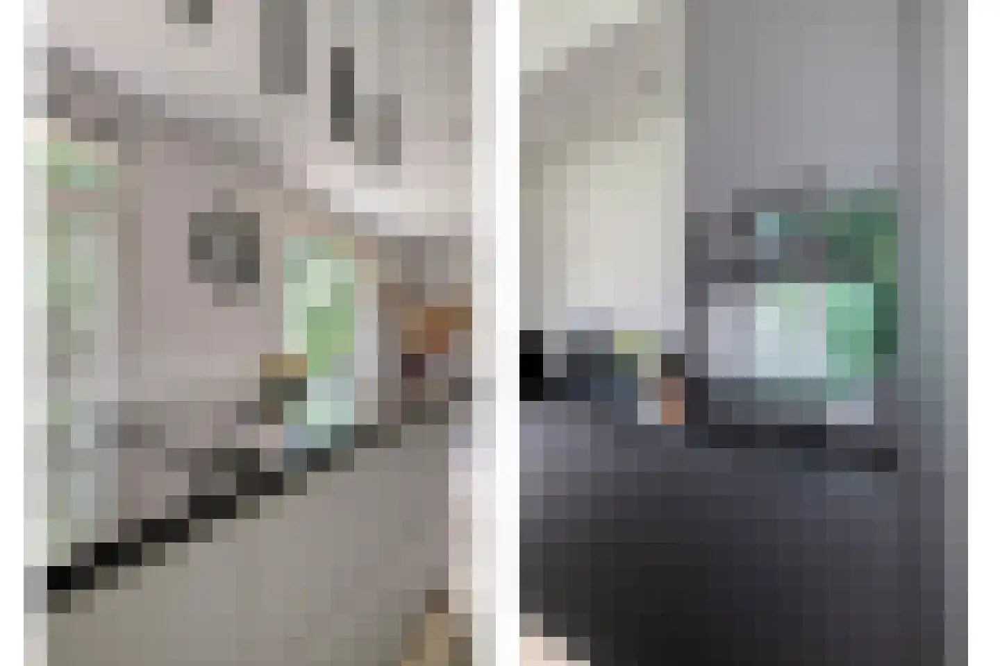 Vijverweg 5 Ossendrecht thumbnail 15