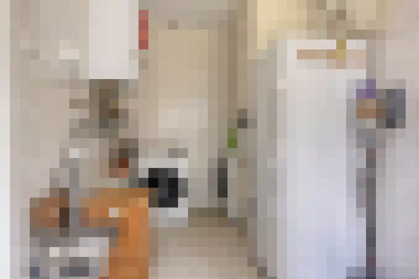 Vijverweg 5 Ossendrecht thumbnail 16
