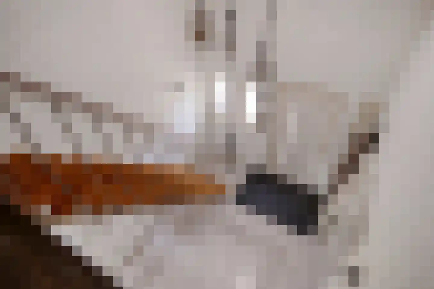 Vijverweg 5 Ossendrecht thumbnail 19