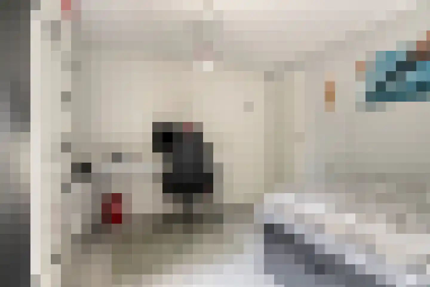 Vijverweg 5 Ossendrecht thumbnail 32