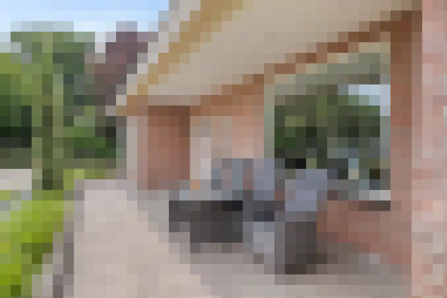 Vijverweg 5 Ossendrecht thumbnail 36