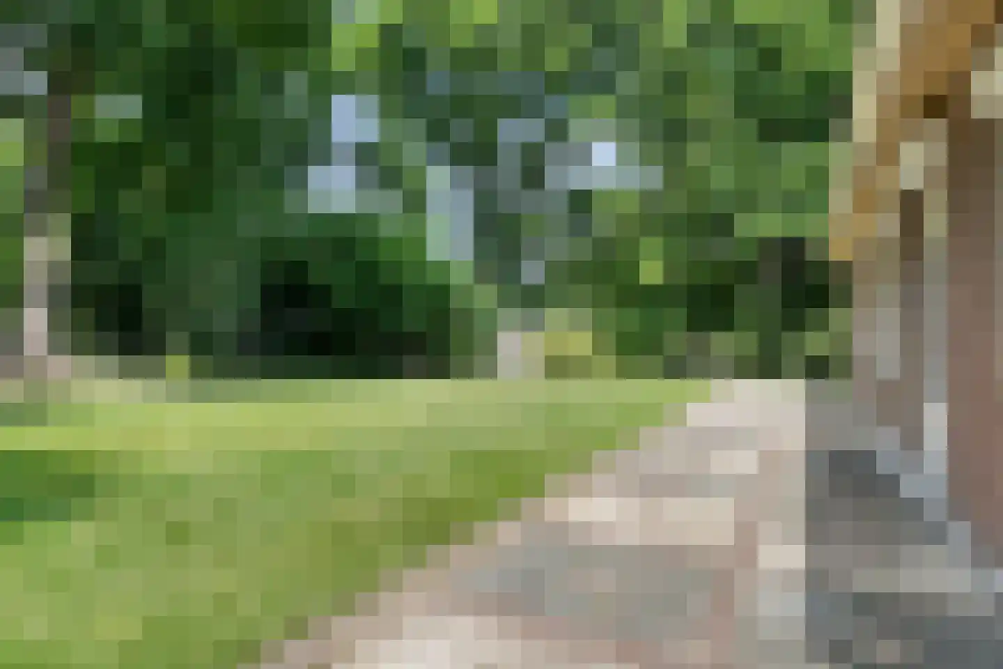 Vijverweg 5 Ossendrecht thumbnail 44