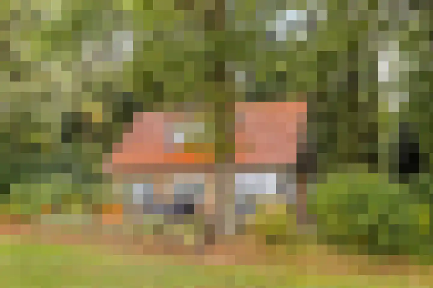 Vijverweg 6 Diepenheim thumbnail 10