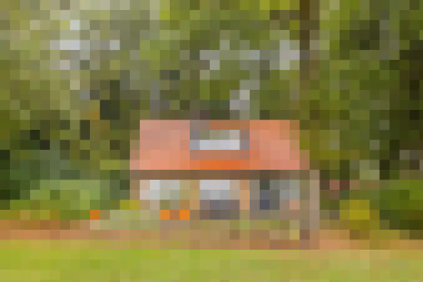 Vijverweg 6 Diepenheim thumbnail 11