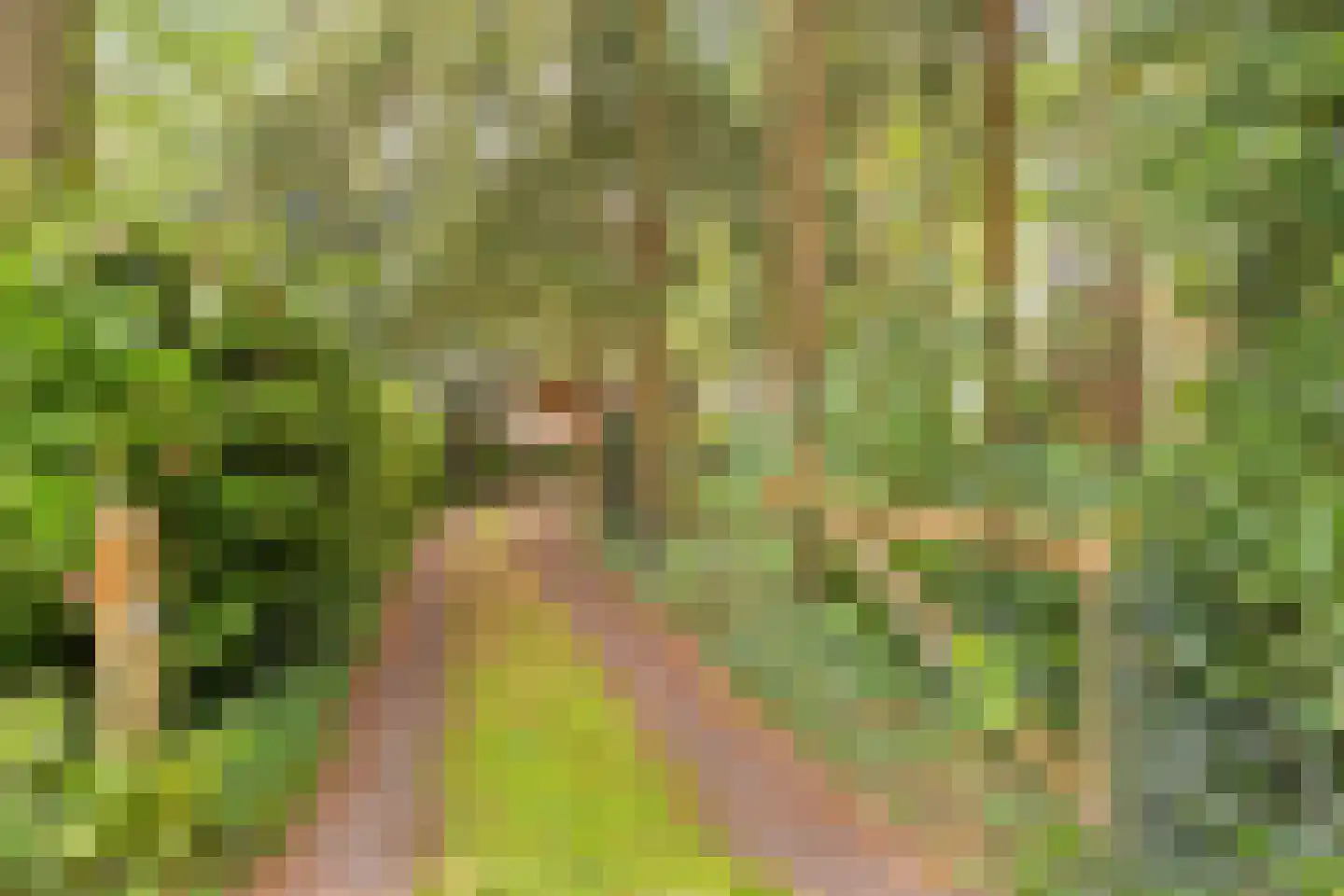 Vijverweg 6 Diepenheim thumbnail 12