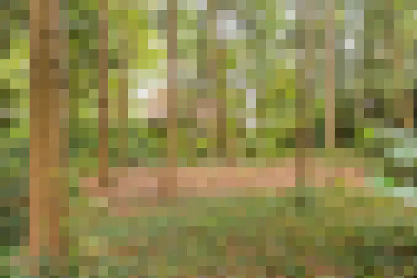 Vijverweg 6 Diepenheim thumbnail 13