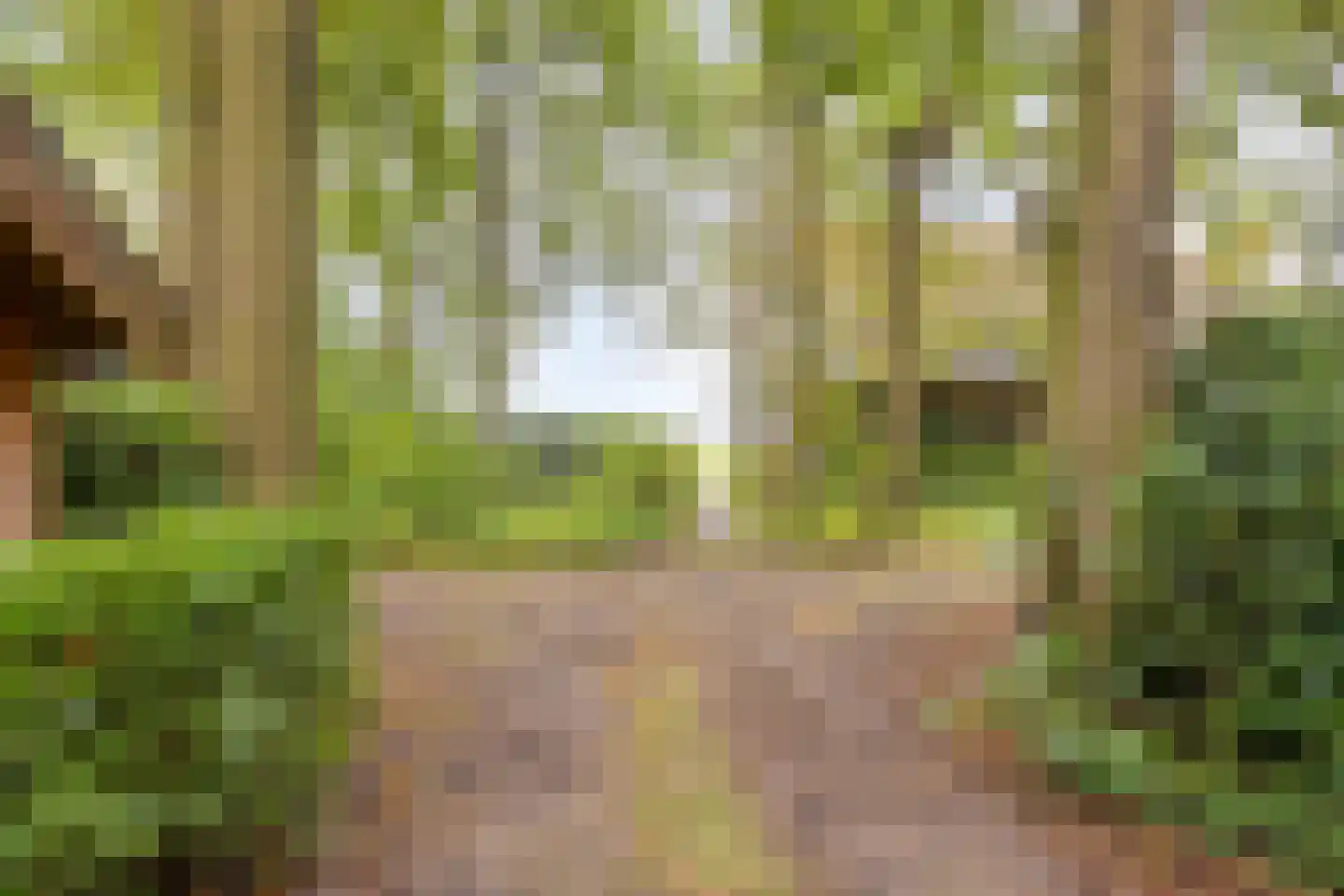 Vijverweg 6 Diepenheim thumbnail 14