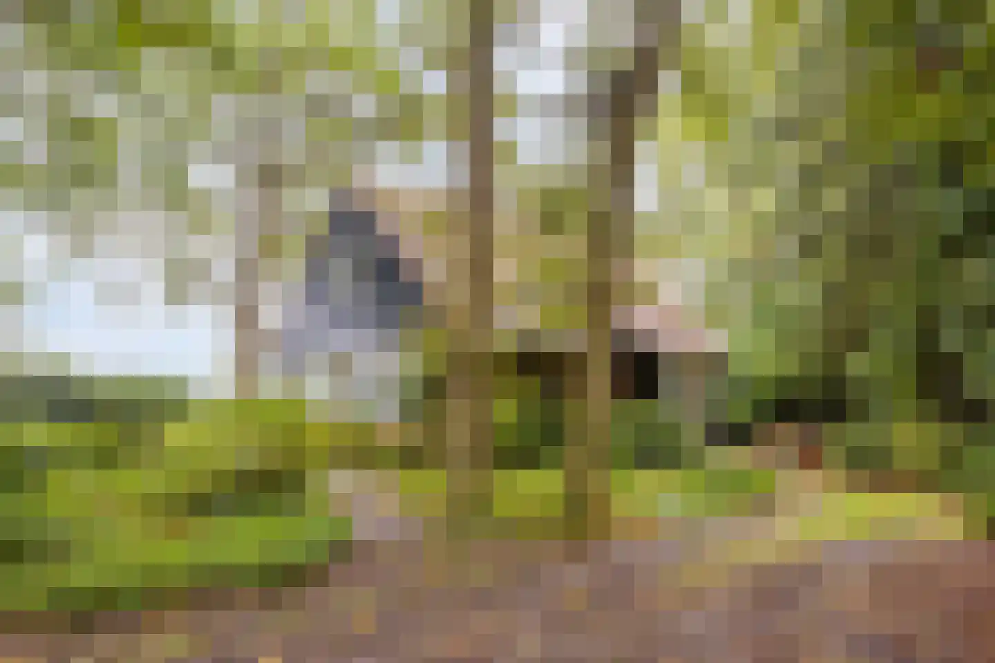 Vijverweg 6 Diepenheim thumbnail 15