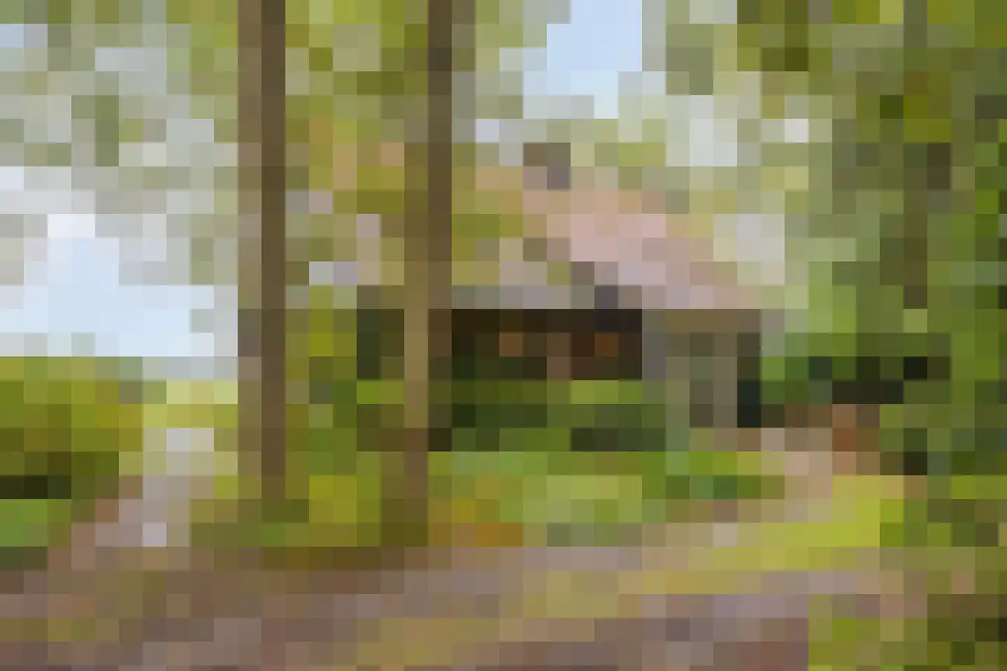 Vijverweg 6 Diepenheim thumbnail 16