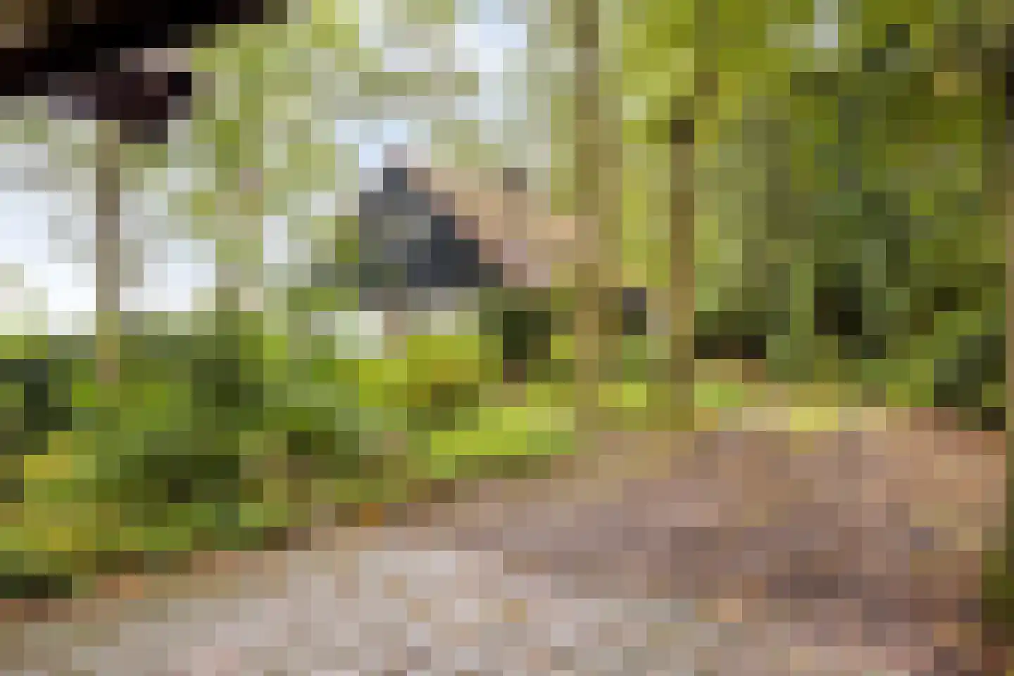 Vijverweg 6 Diepenheim thumbnail 17
