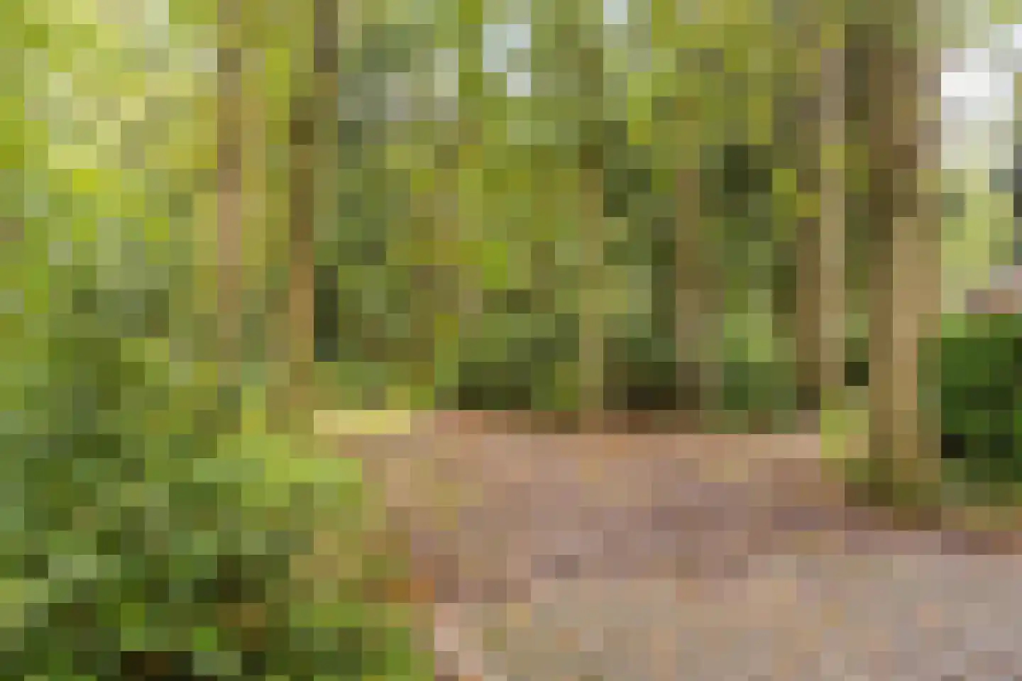 Vijverweg 6 Diepenheim thumbnail 18