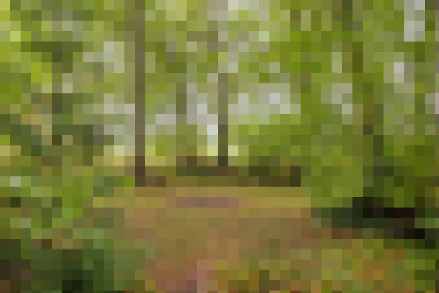 Vijverweg 6 Diepenheim thumbnail 19