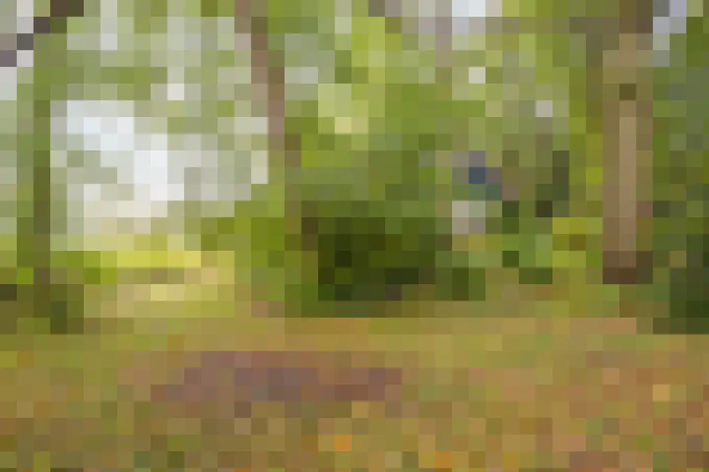 Vijverweg 6 Diepenheim thumbnail 20