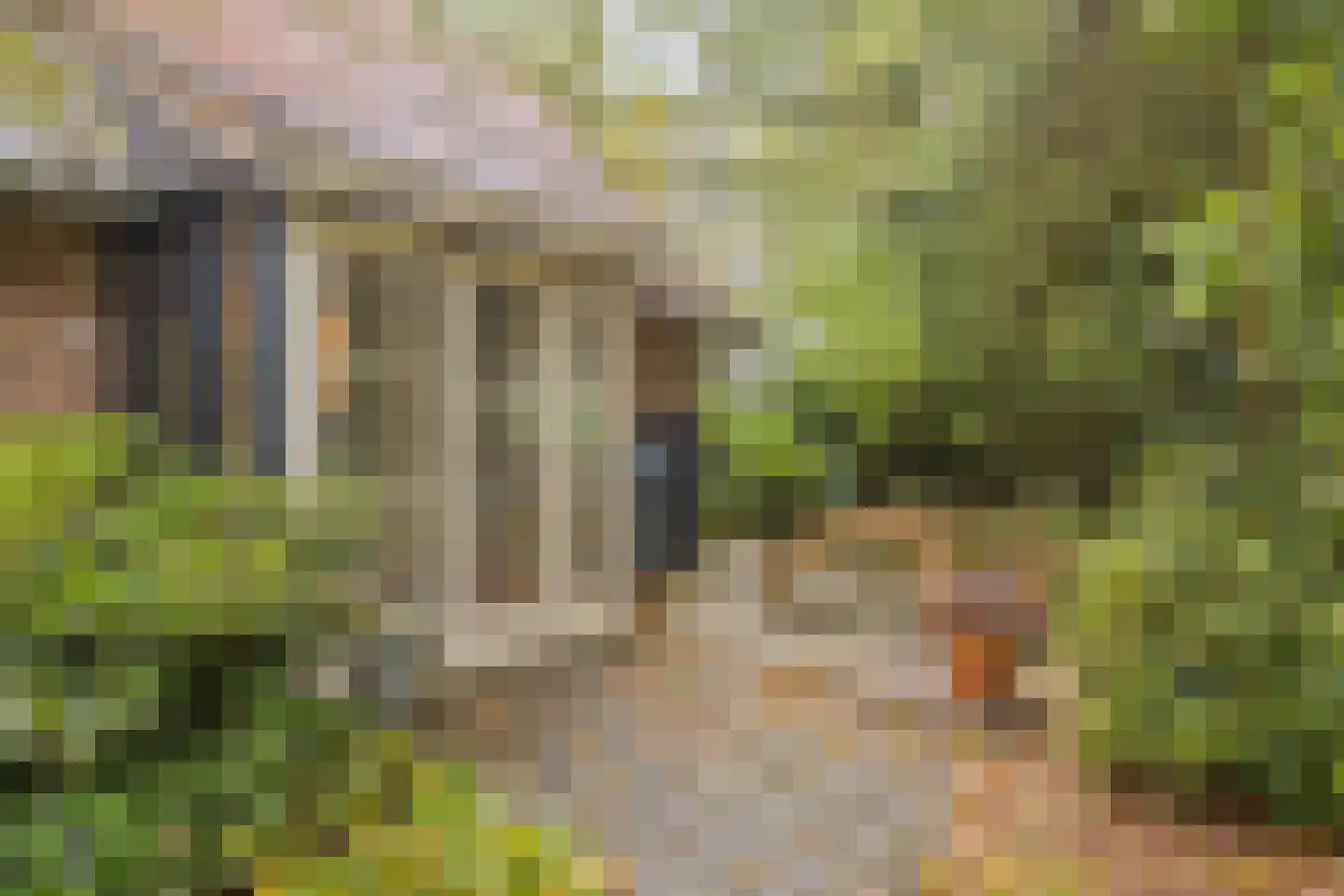 Vijverweg 6 Diepenheim thumbnail 21