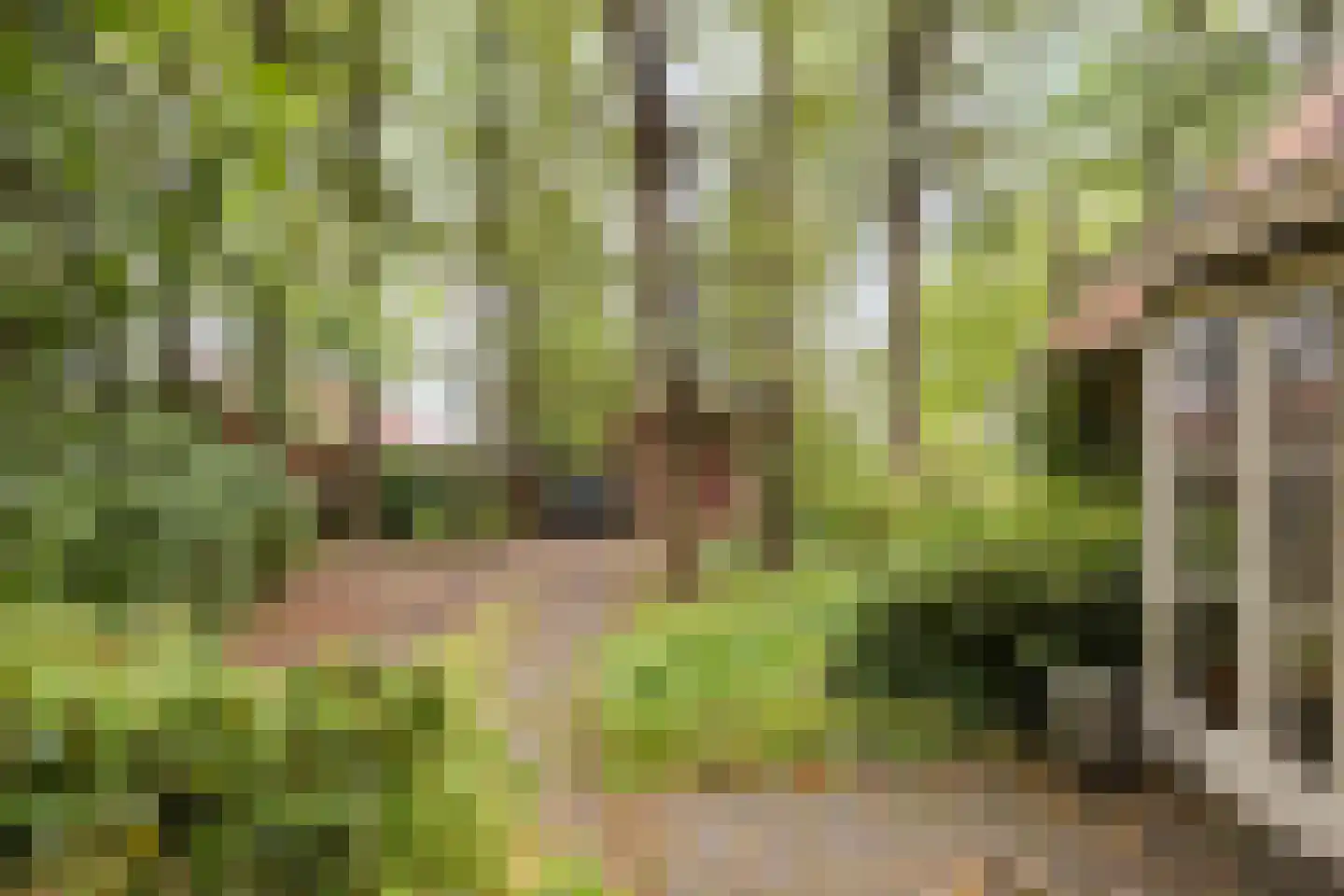 Vijverweg 6 Diepenheim thumbnail 22