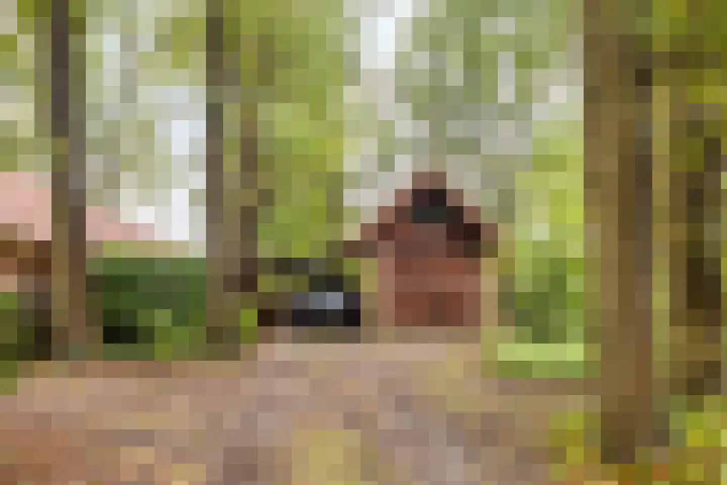 Vijverweg 6 Diepenheim thumbnail 23