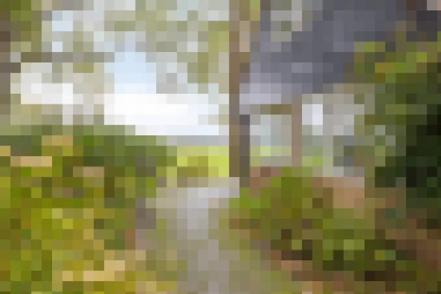Vijverweg 6 Diepenheim thumbnail 24