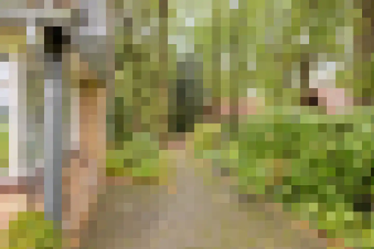 Vijverweg 6 Diepenheim thumbnail 25