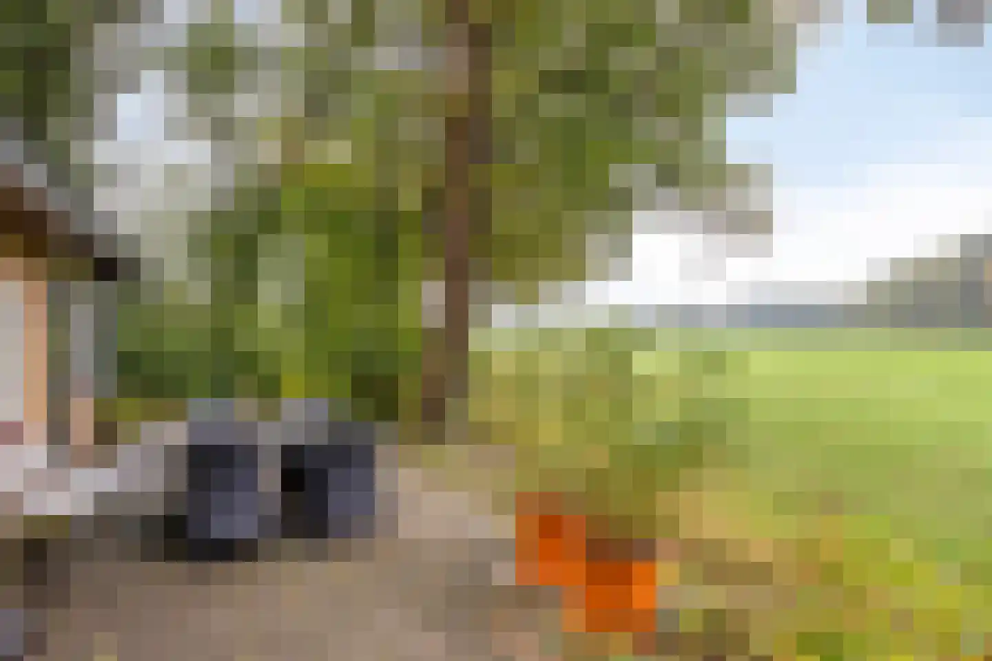 Vijverweg 6 Diepenheim thumbnail 26