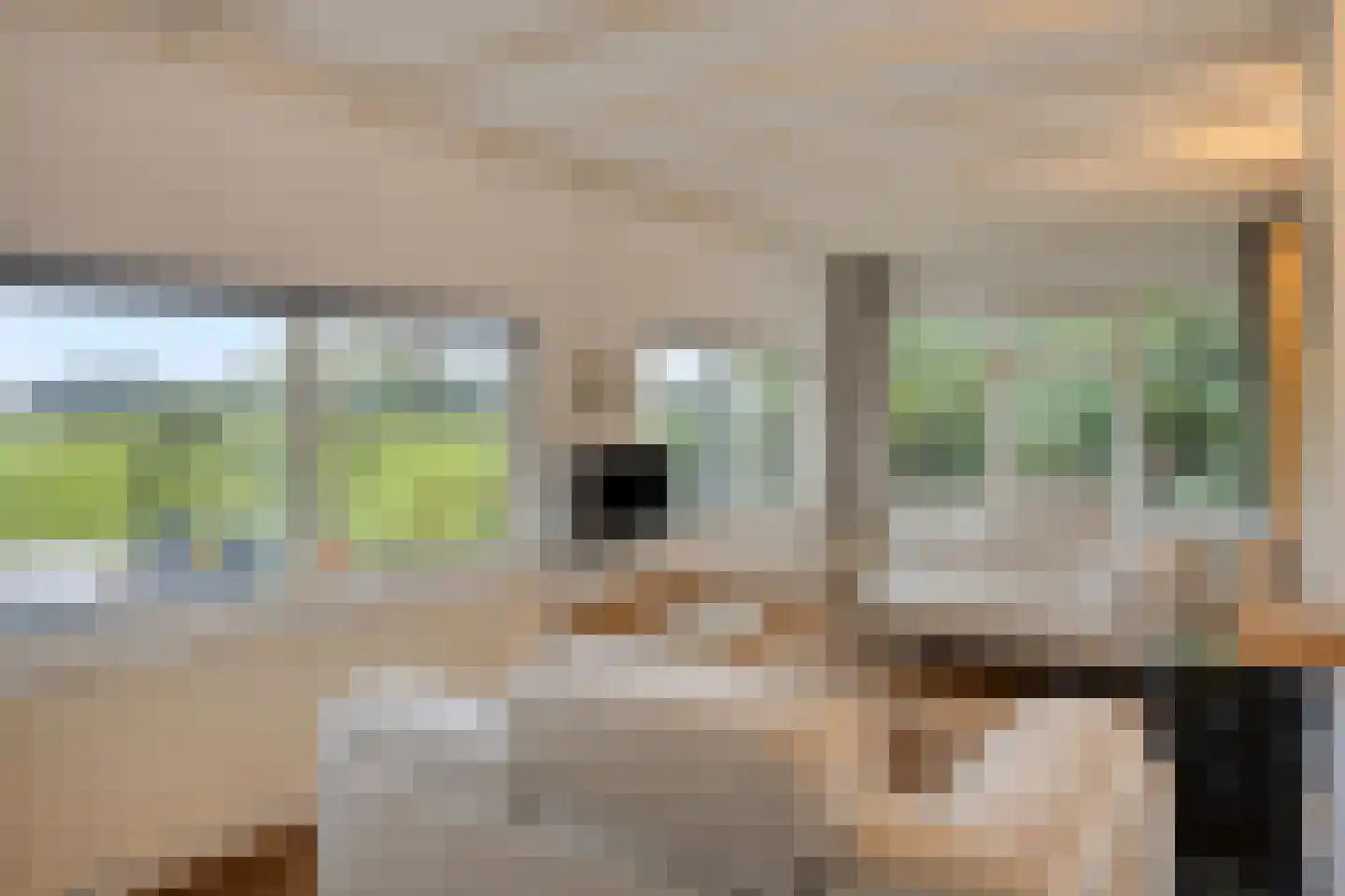 Vijverweg 6 Diepenheim thumbnail 32