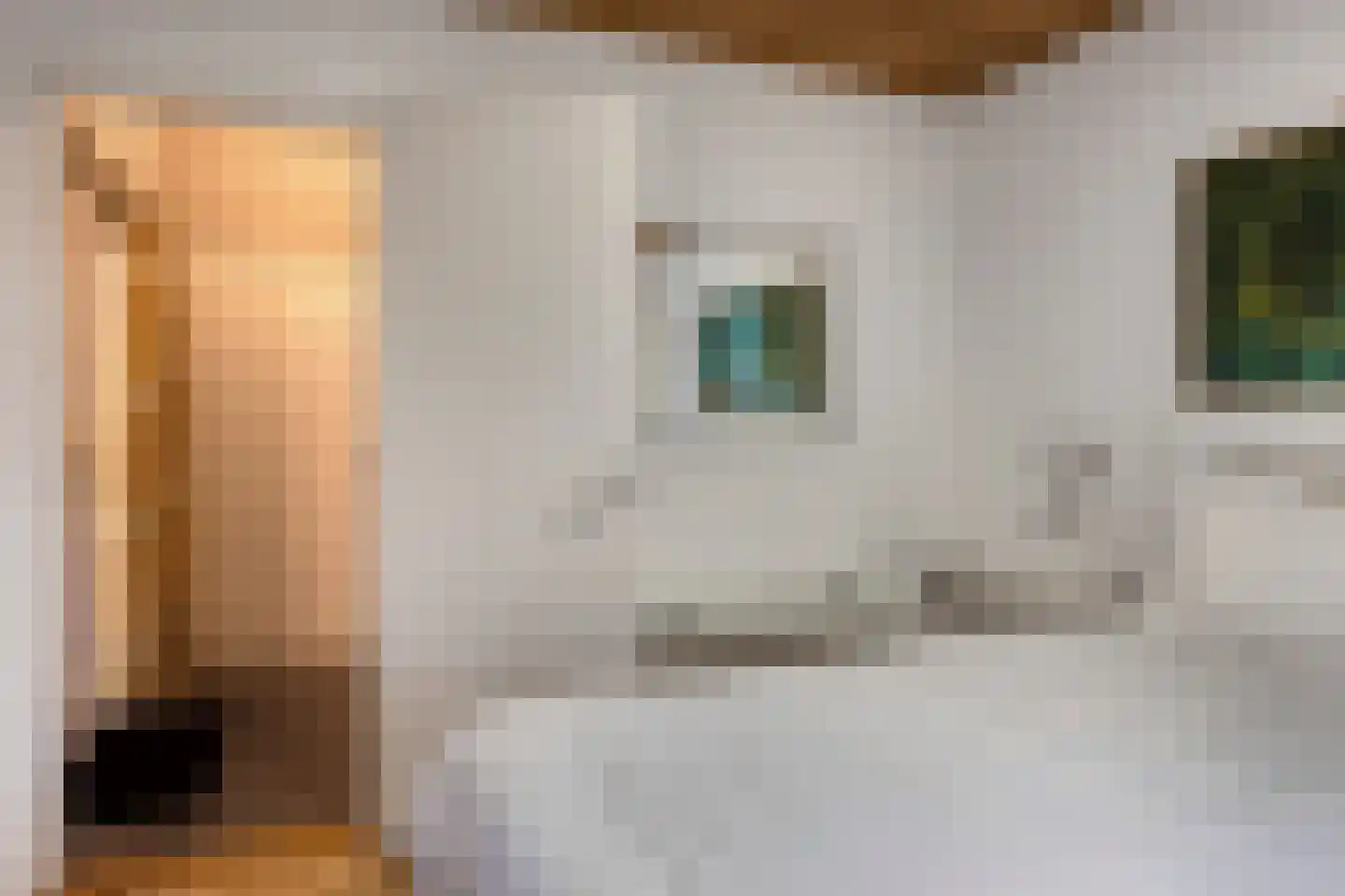 Vijverweg 6 Diepenheim thumbnail 46