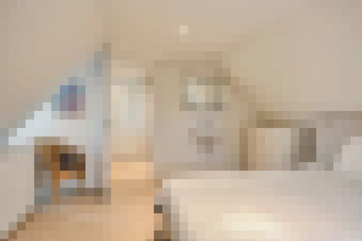 Vijverweg 6 Diepenheim thumbnail 50