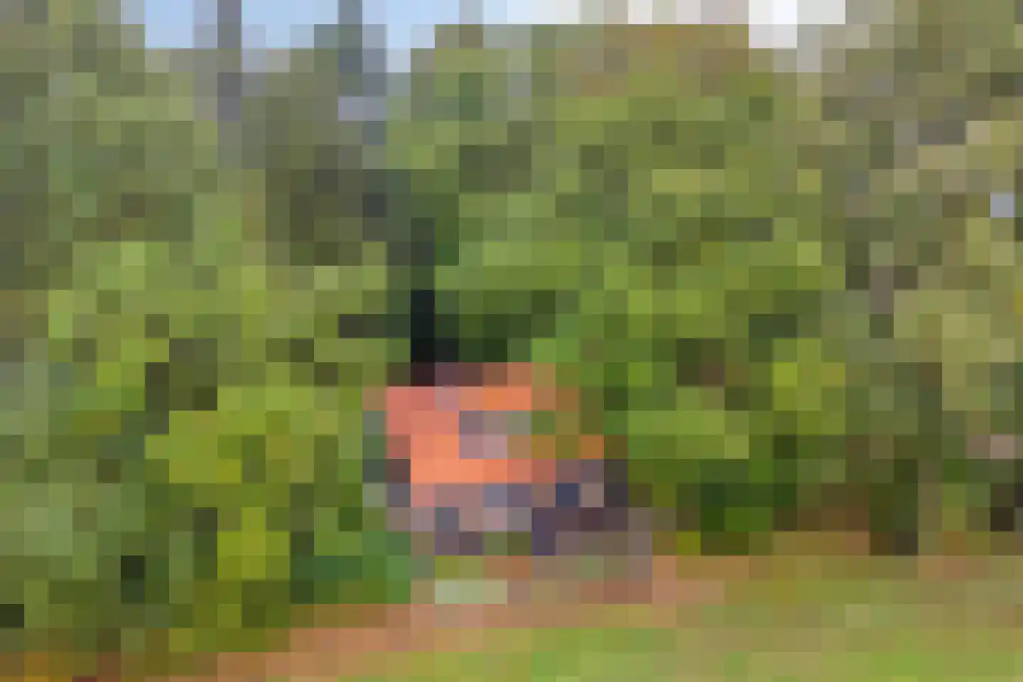 Vijverweg 6 Diepenheim thumbnail 55