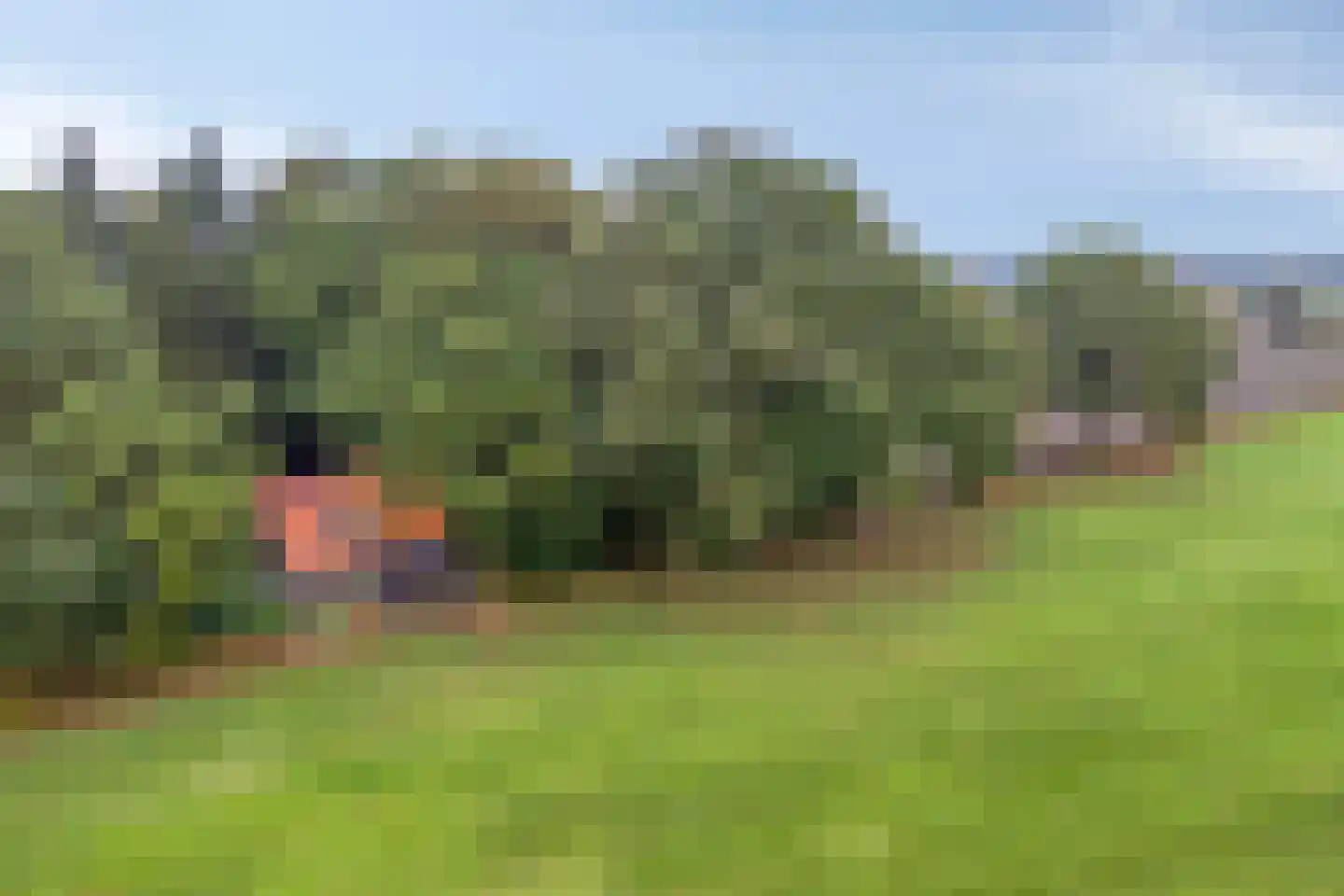 Vijverweg 6 Diepenheim thumbnail 56