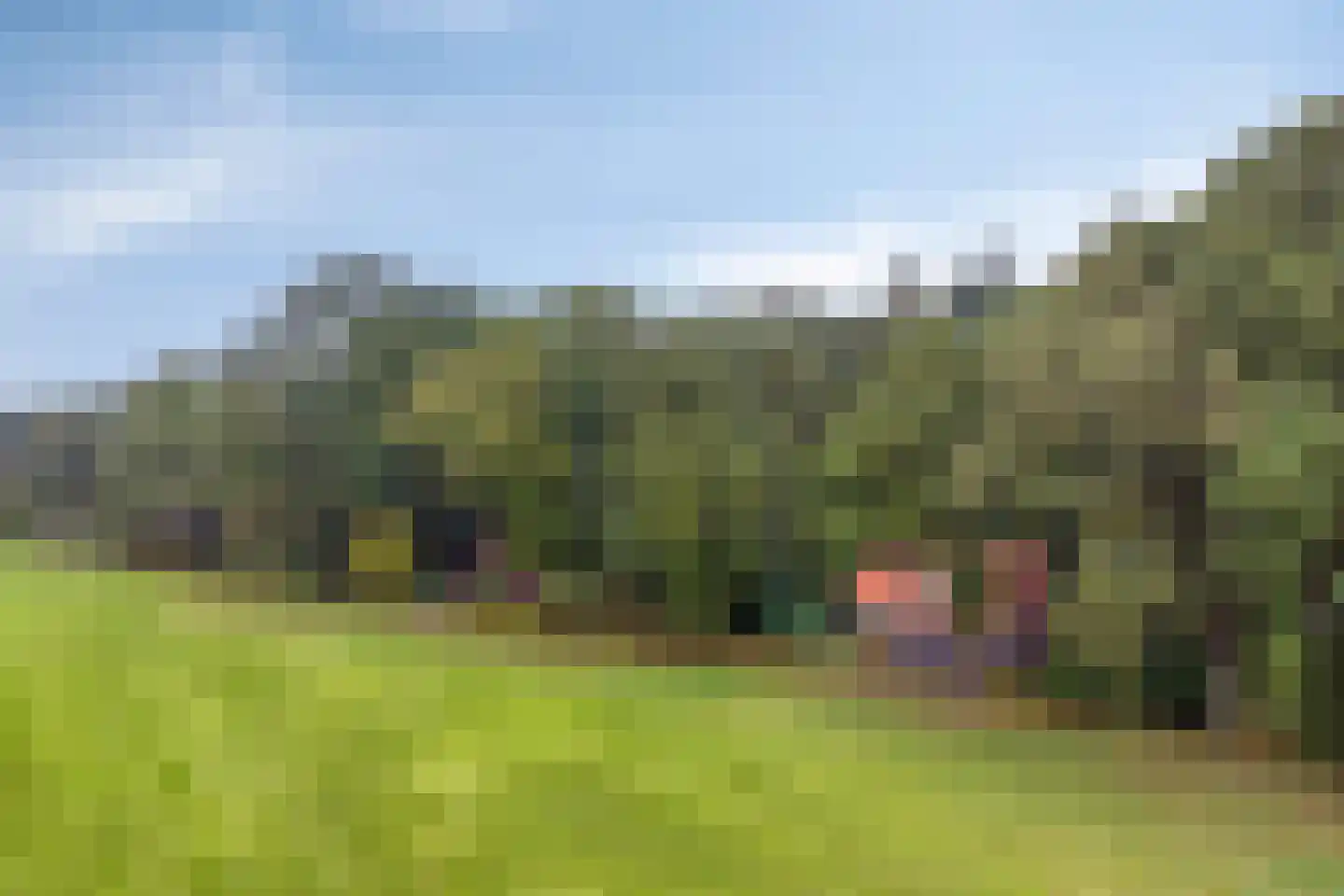 Vijverweg 6 Diepenheim thumbnail 57